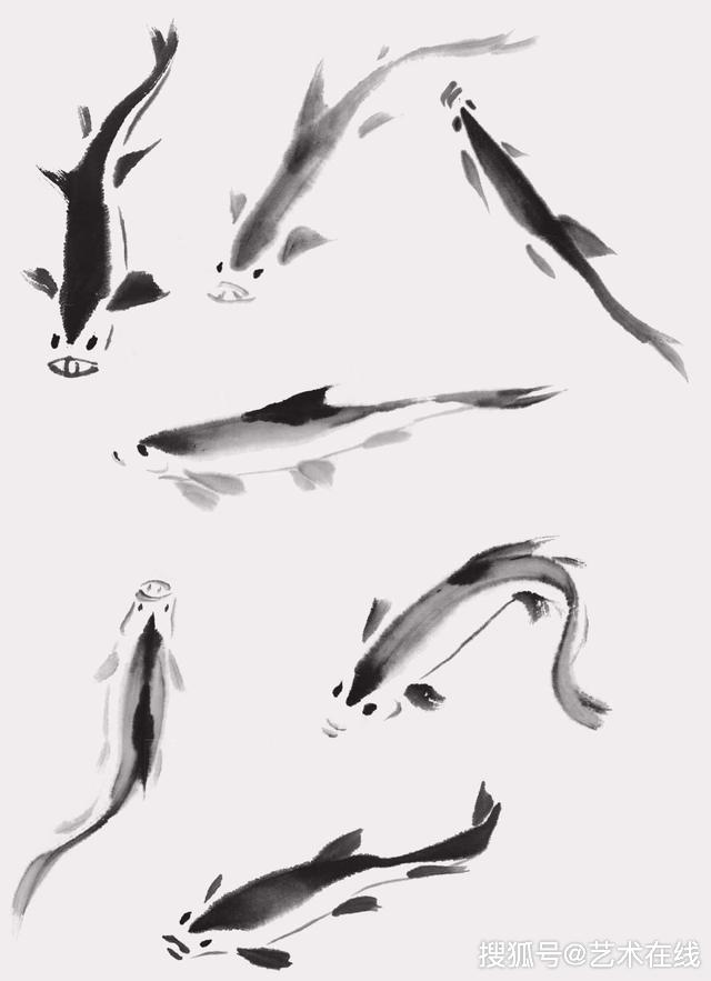 五种常见的鱼类国画画法图解讲解
