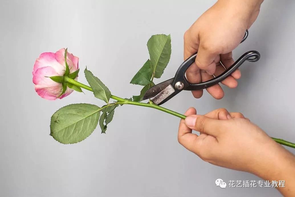 花艺插花教程花店花材处理时常见的7种错误