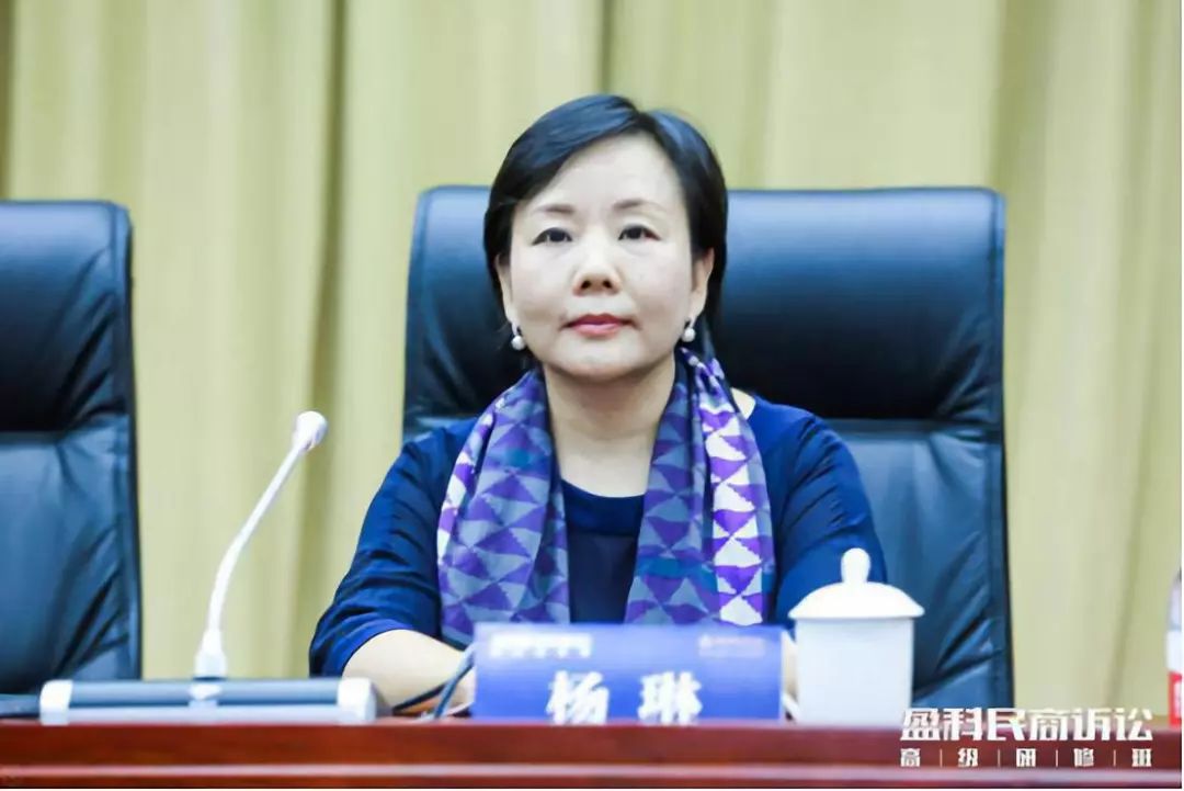 全球董事会执行主任盈科海外中国中心全球总裁杨琳盈科国际创始合伙人
