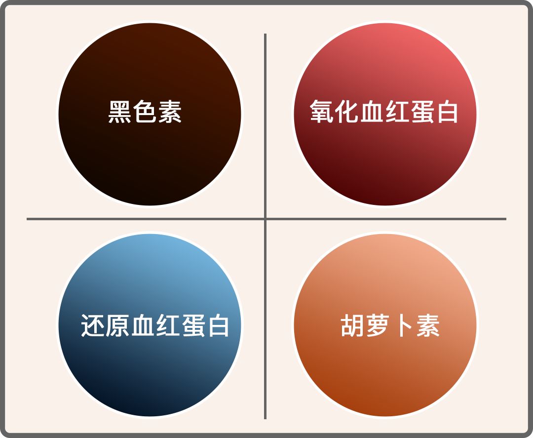 你五官挺好看的就是皮肤太黑了
