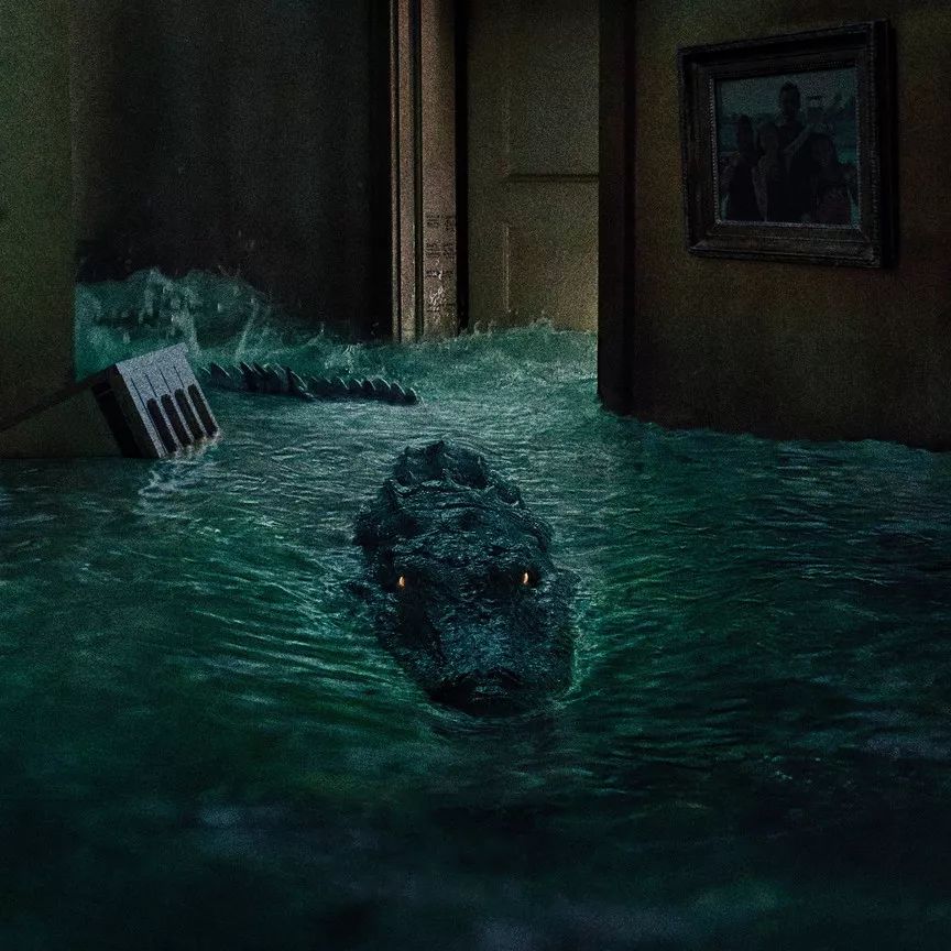 9月唯一的好莱坞惊悚灾难片!一波巨鳄正在靠近!_鳄鱼