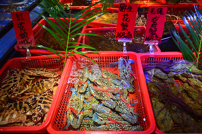 原创水产堪比水族馆,价格赶上菜市场,这家海鲜城让人惊艳!
