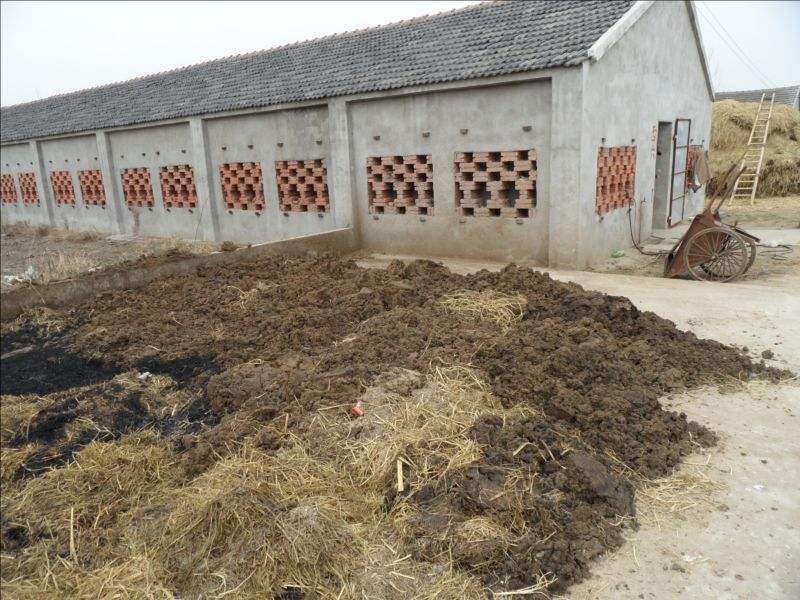 原创哪种粪肥有机质含量高你了解过吗