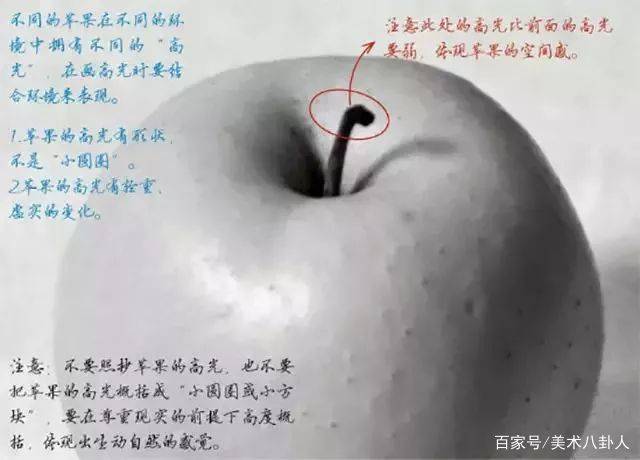 干货来袭素描静物之苹果再爱我一次