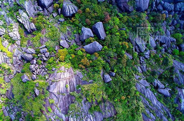 定了德化石牛山旅遊度假區景區門票客運索道觀光車等價格公佈