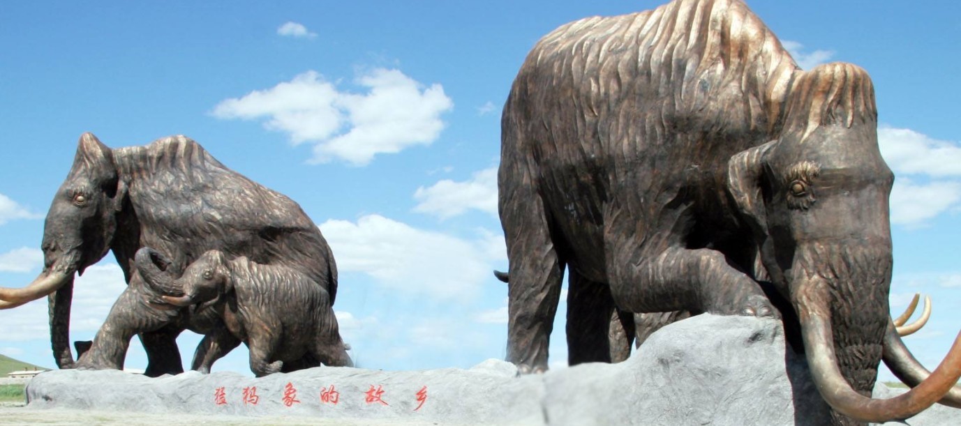 猛犸象的故乡俄罗斯有雅库特地区中国有黑龙江省青冈县