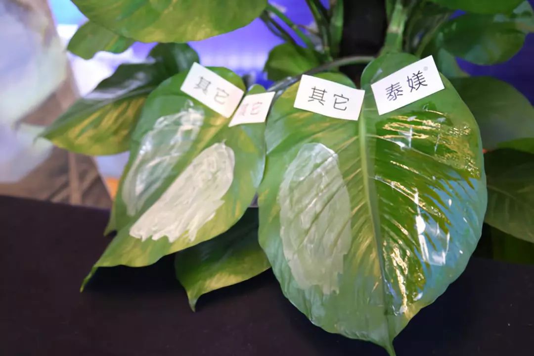 【专访】深耕吡唑醚菌酯:深泰化工的品牌之路虽孤独,但有价值!