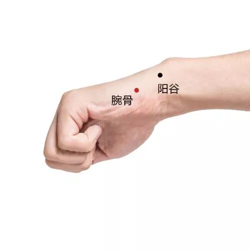 每日一穴腕骨穴