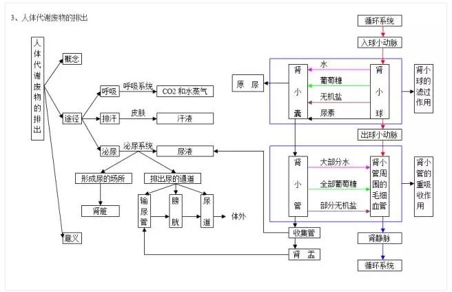 知識丨初中生物思維導圖解析大全,2020考生必看