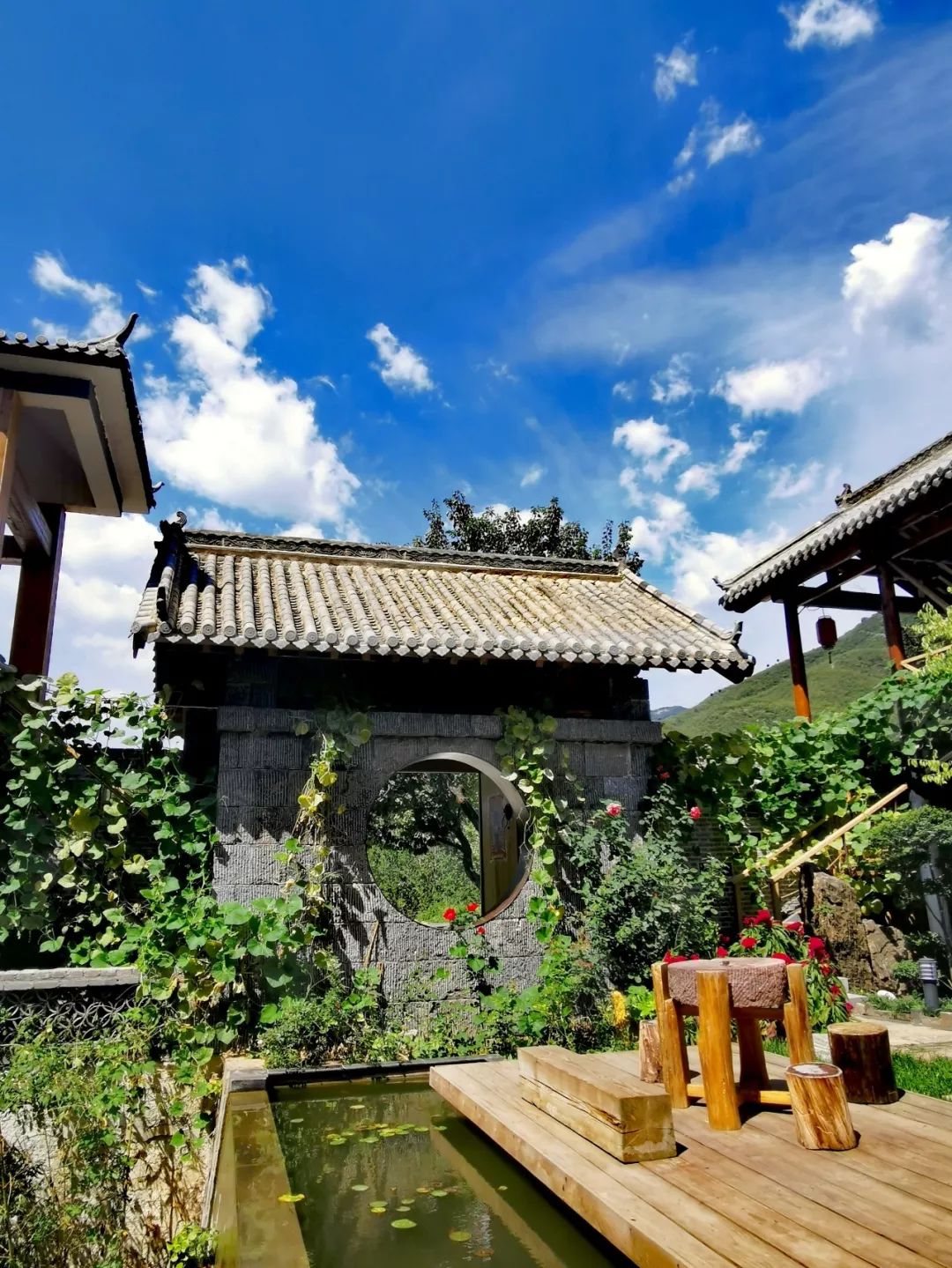 鄢国才女去云台山做民宿了想去焦作旅游的赶快找她