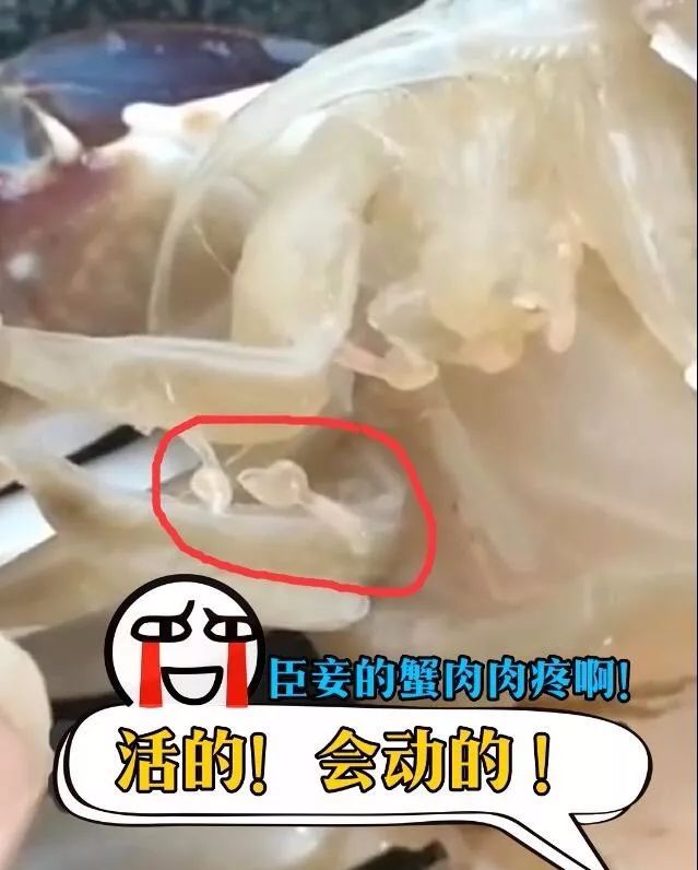 梭子蟹里这么多"寄生虫"还能吃吗?_螃蟹