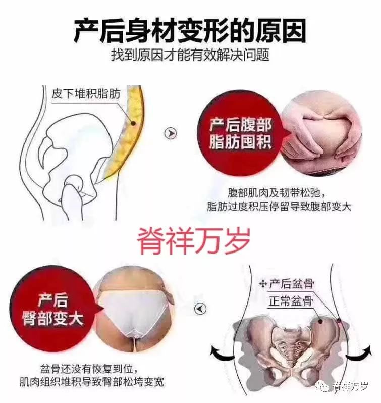 重塑美好身材，从科学减肥开始