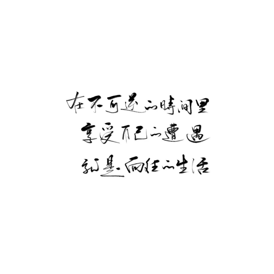 杨瞧瞧_手写模板/何炅就是向往的生活.