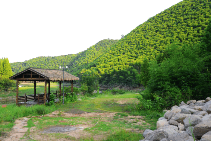 安吉小杭坑村图片