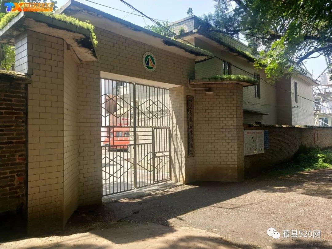 藤县鸡谷山休闲公园还在施工中多图