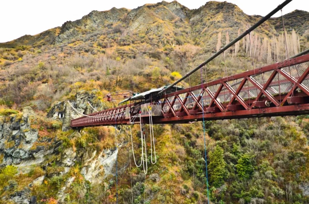 "峰哥"@汪峰"贴心"安排的内维斯峡谷秋千(nevis swing) 让妻子们"心动