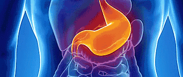 367_156gif 动态图 动图