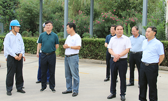 社会安全有序,安定和谐,9月11日上午,县委常委,常务副县长盛阳光带队