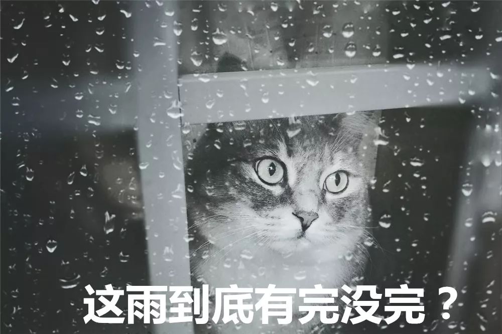 老天爷,下这么久的雨,剑阁人民深切呼唤:终于在阴雨绵绵中画上了句号