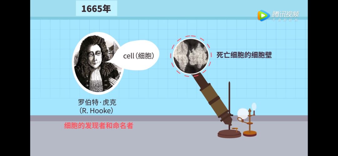 【生物大师高中】细胞学说-生命的秘密_施旺