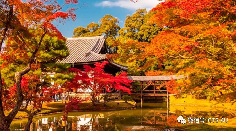 **渡月桥**澜山**东大寺**富士山**日本艺伎**奈良公园**奈良东大寺**