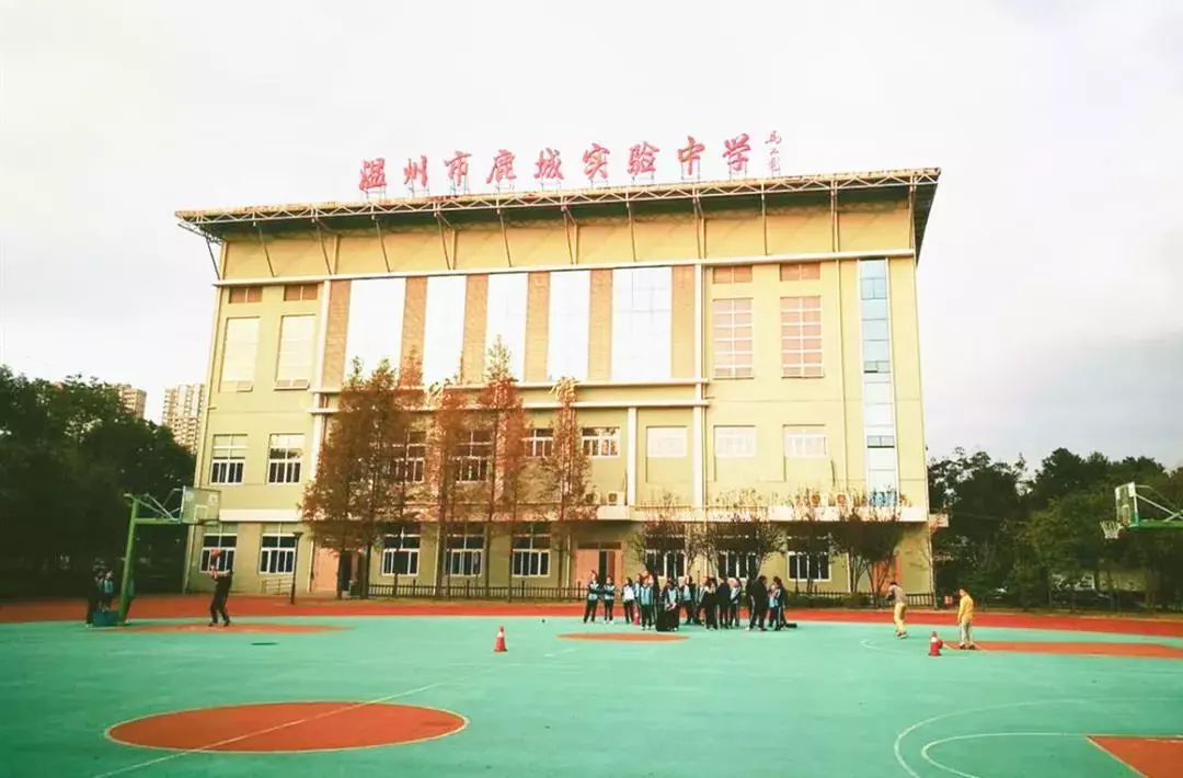 创建禁毒示范温州样板丨温州市鹿城区实验中学