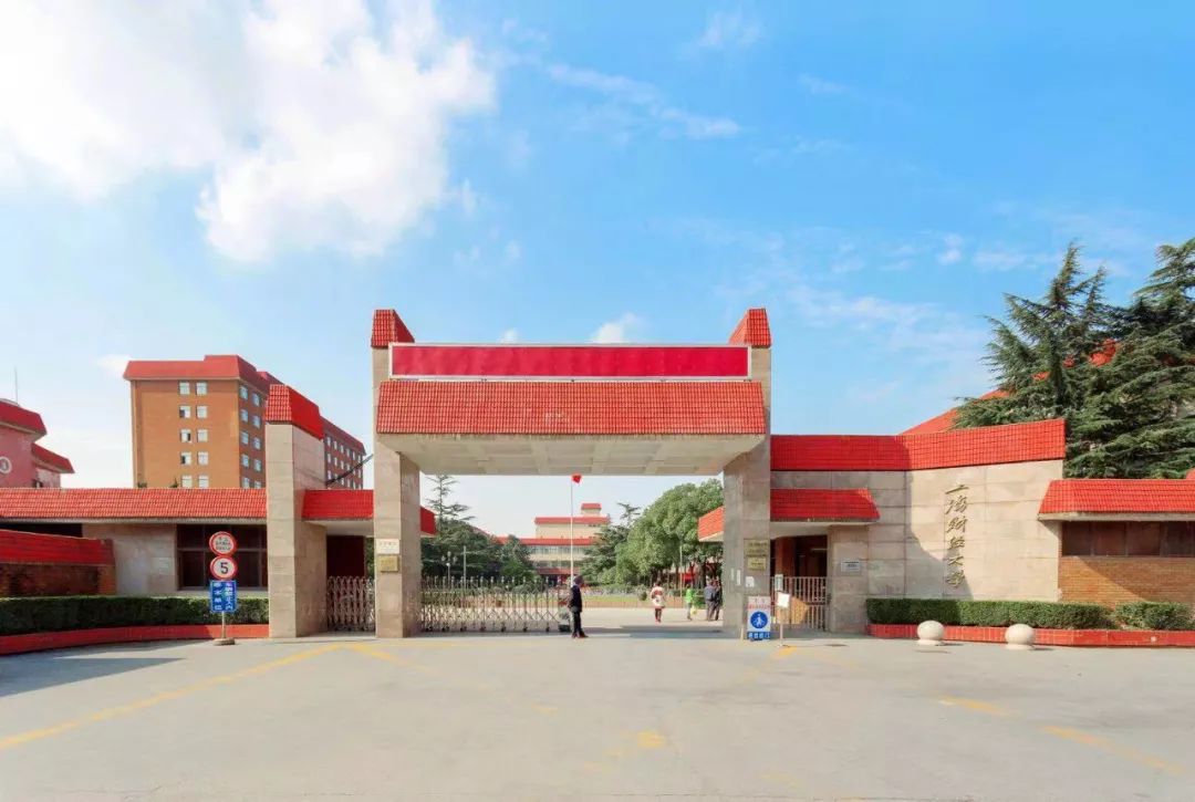 蓦然回首阑珊处厚积薄发求真知双一流学科建设中的青年教师杨金强