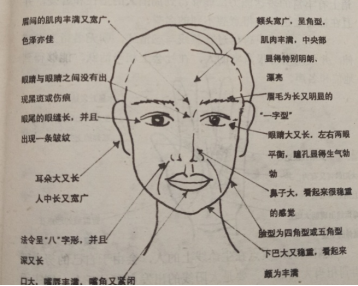 这些特征表示你天生就是当领导的人_面相