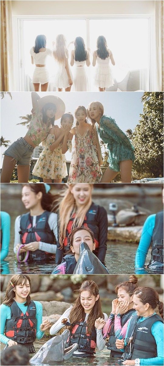 星闻blackpink在夏威夷享受的夏日休假美不胜收