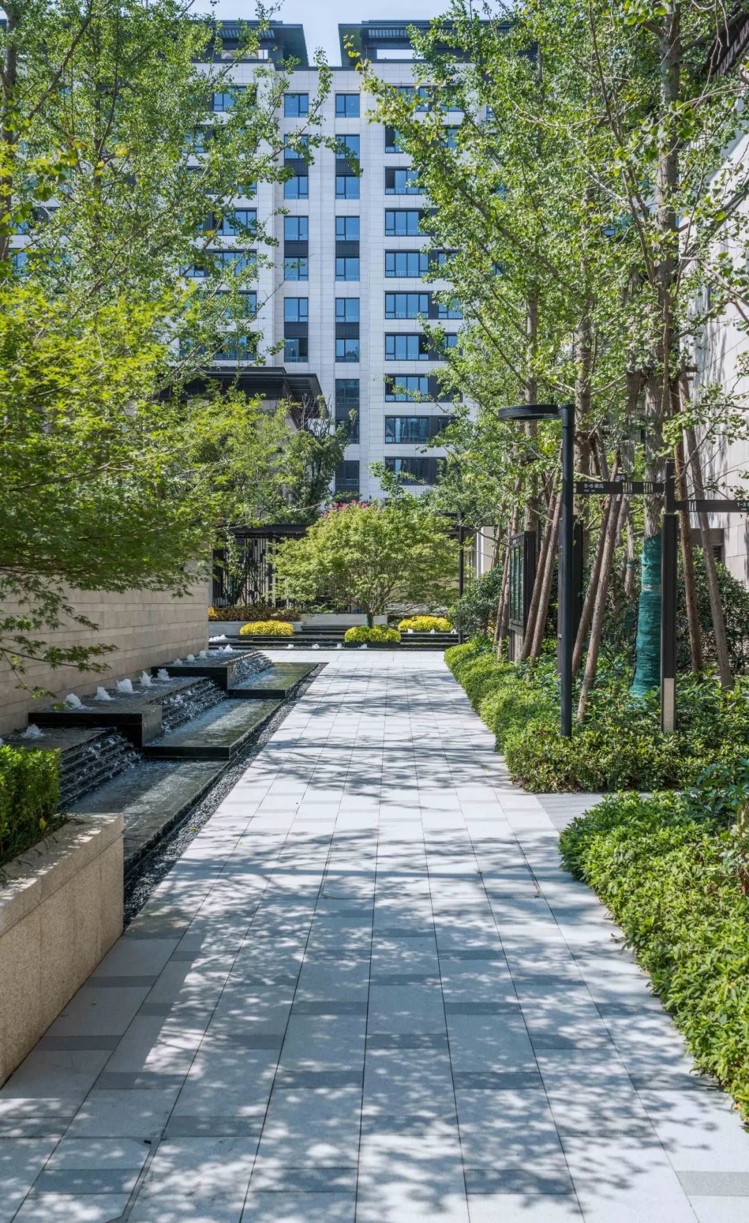 寻找归属感的游鱼