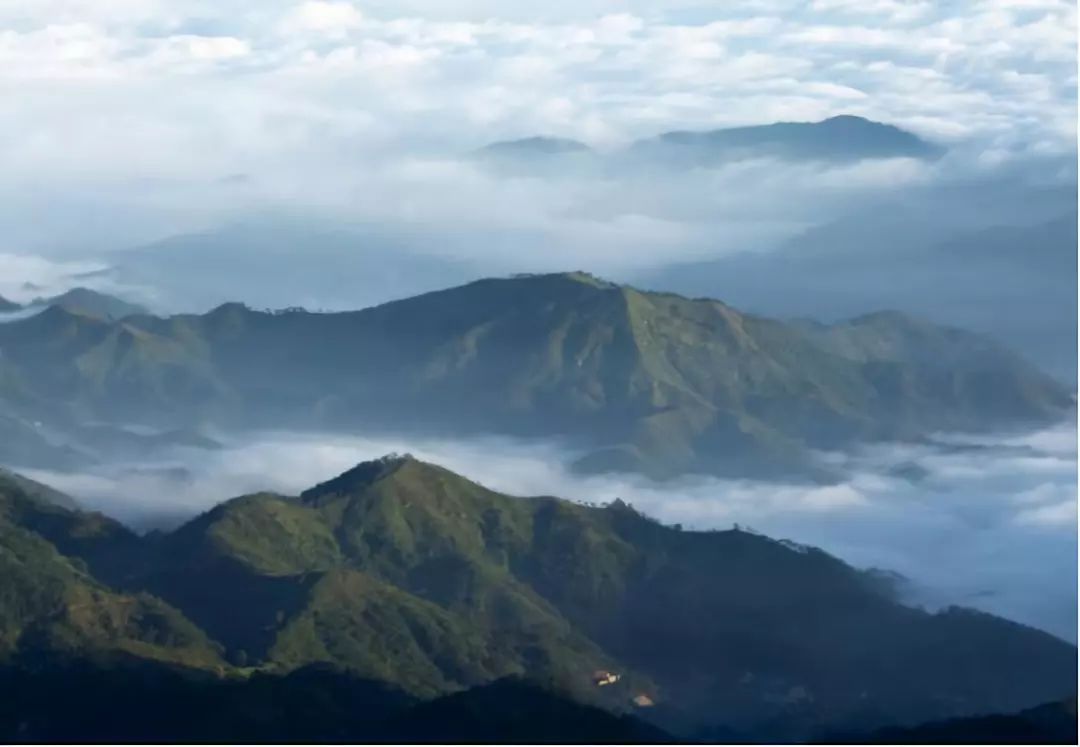 信宜如何進行農旅融合打造三華李王國