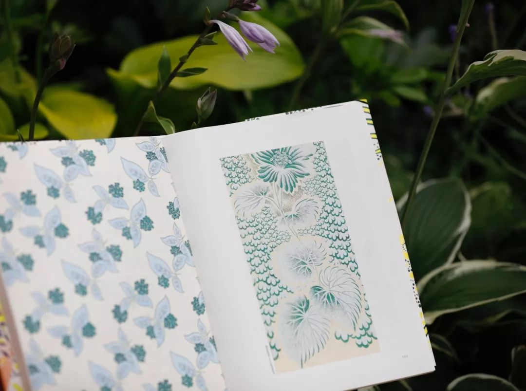 最新喜报我社7种图书获得第28届金牛杯优秀美术图书奖