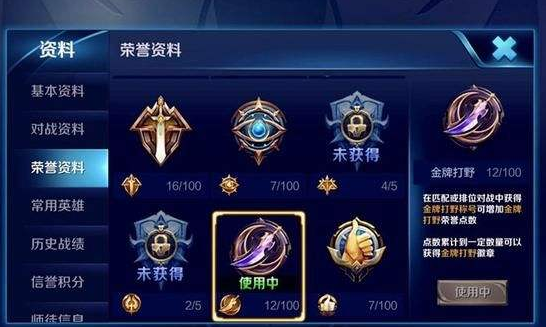 明明是一位战士,为何给你金牌打野?难道是王者荣耀的漏洞?_称号