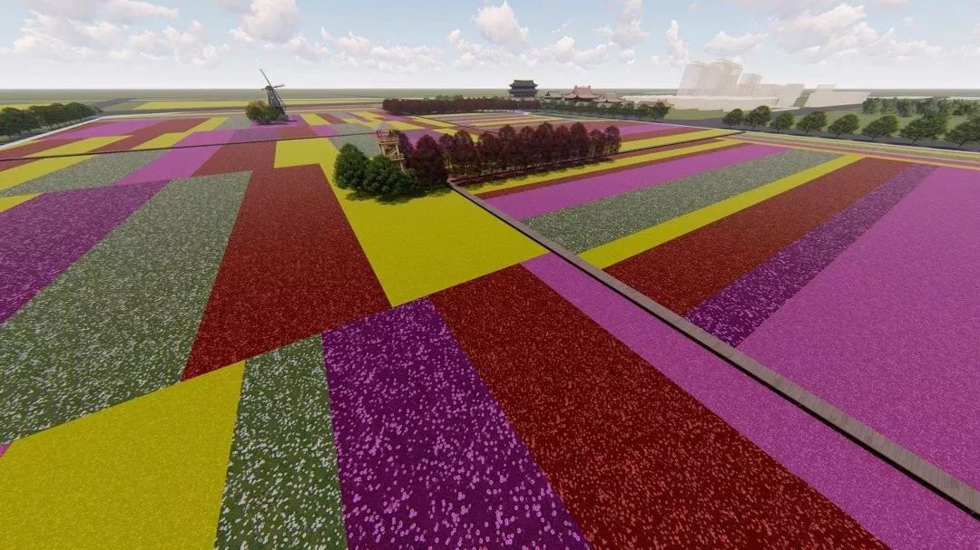 投资2千万新湾街道网红花海来了还有鲜花产业链