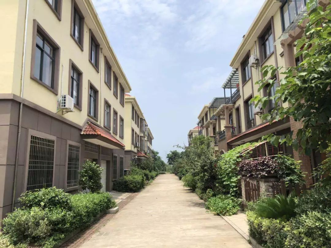 贺村幸福乡村行——乘着东风的东山头_山头村