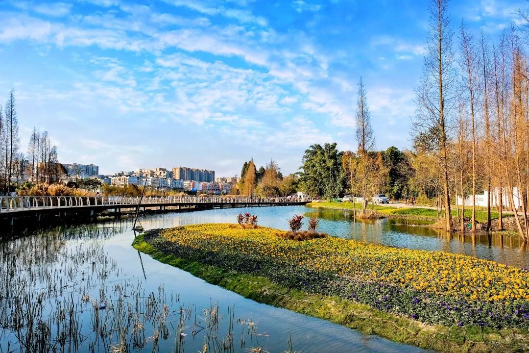 高颜值的成都绿道摄影作品哪一张撩到你