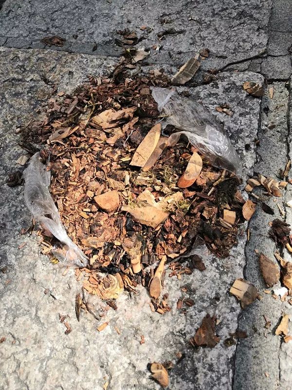 同安城西路段:为什么有人要把中药渣倒在马路上?原来是有说法的!_孙思