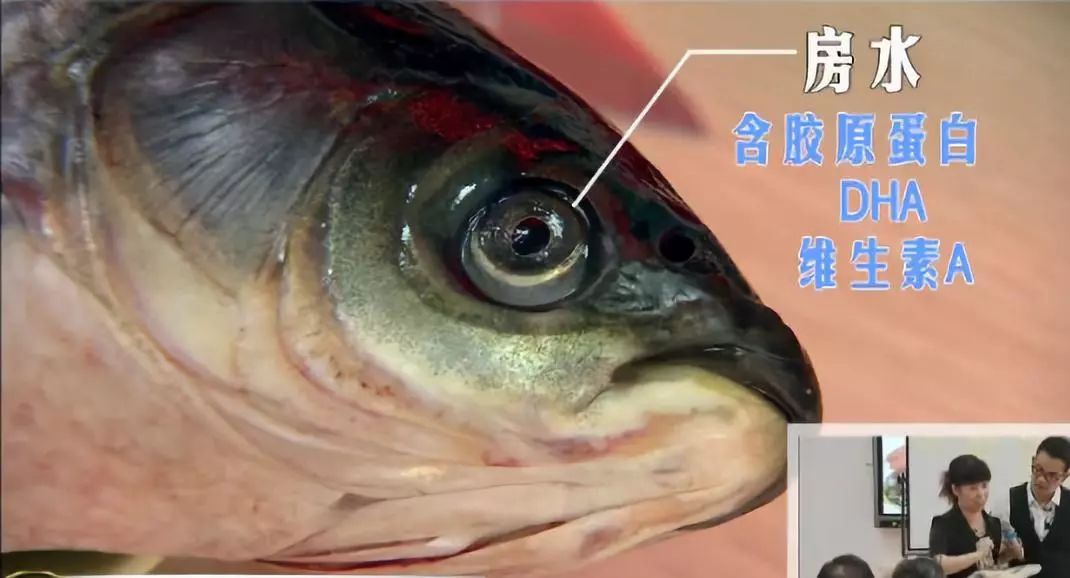 吃鱼别忘吃这个部位,满满的脑黄金