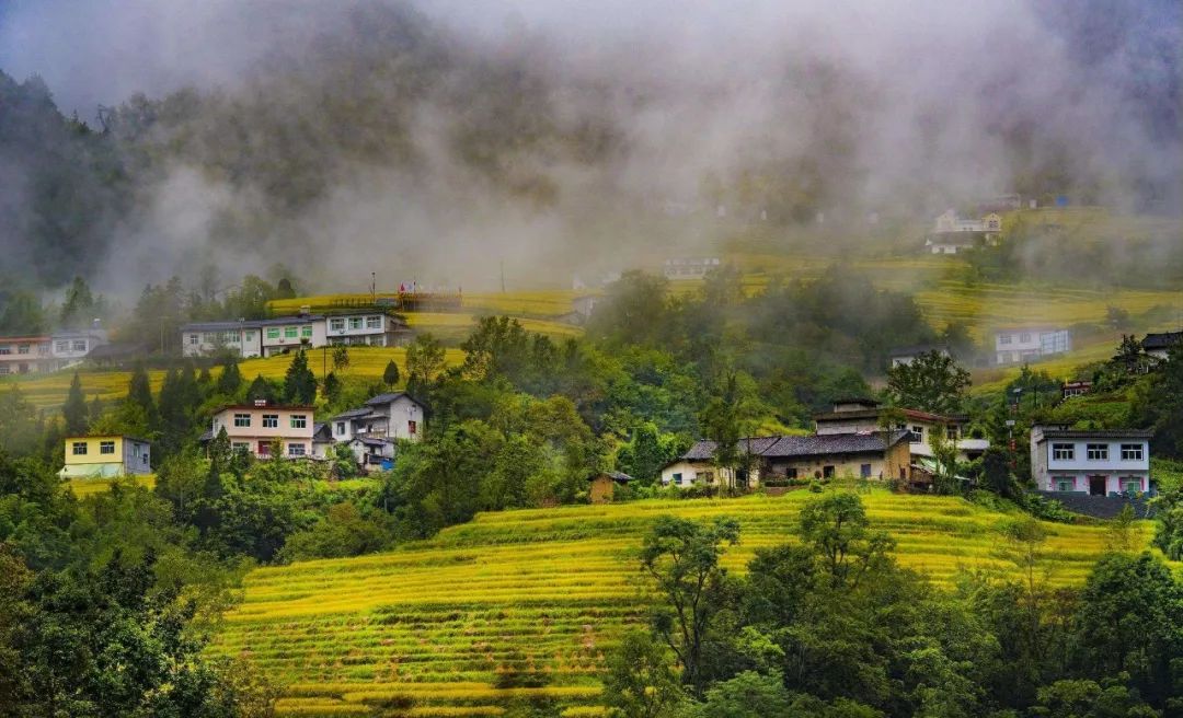 安康这几条线路美翻了值得去打卡!_岚皋