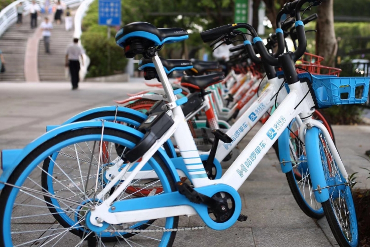 目前在广州已投放10万辆今年6月初,广州互联网租赁自行车运营商招标