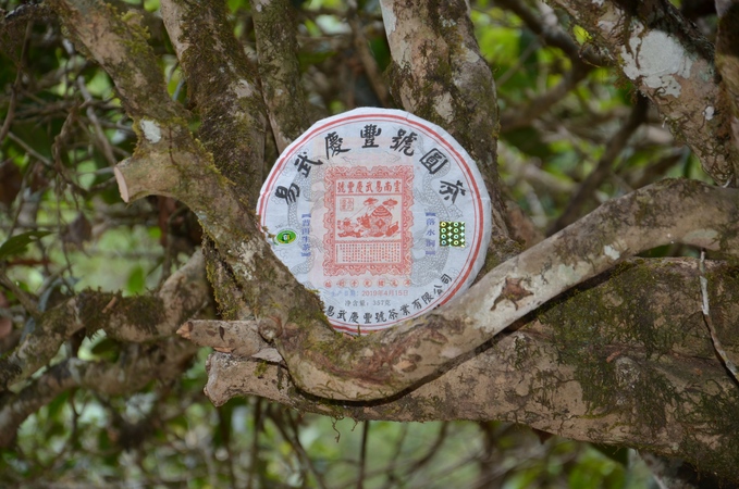 曾经辉煌的易武庆丰号百年老字号