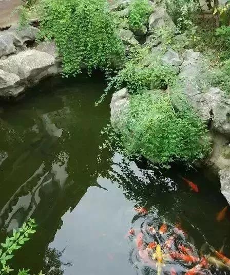花园庭院水池设计花园庭院水池设计需要注意的是,无论是设计池塘,游泳