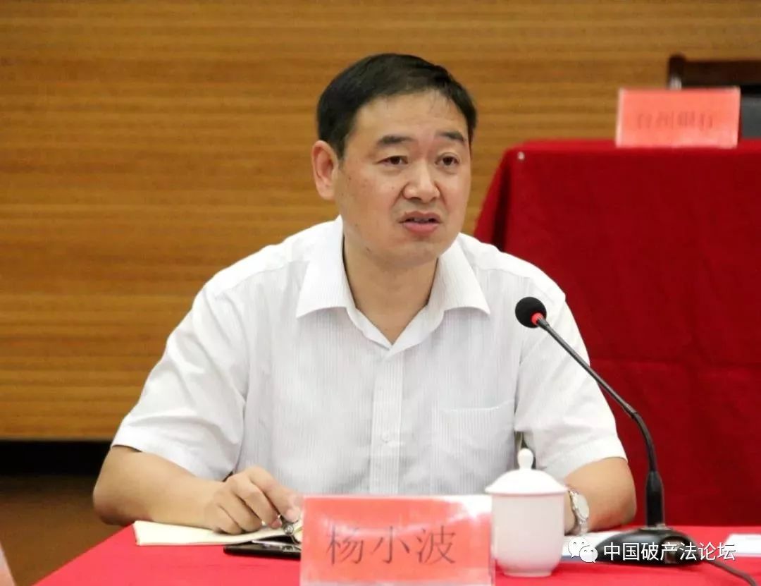 民泰银行行长杨小波台州中院的个人债务清理创新机制是突破性的创新