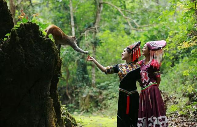中秋节期间,龙虎山将在金龙寨举行特色壮乡民俗活动.