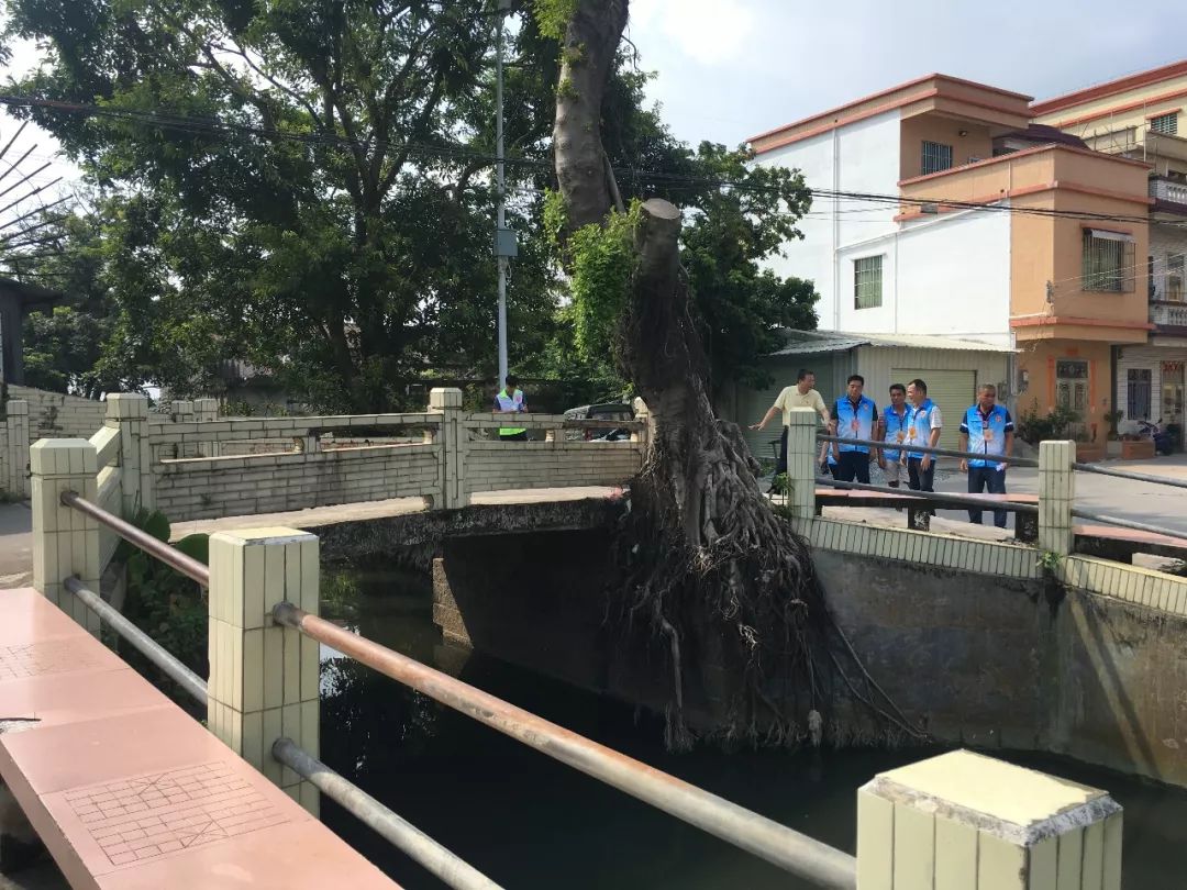 近期,横栏镇西冲社区人大代表联络站,横东村人大代表联络站,三沙村