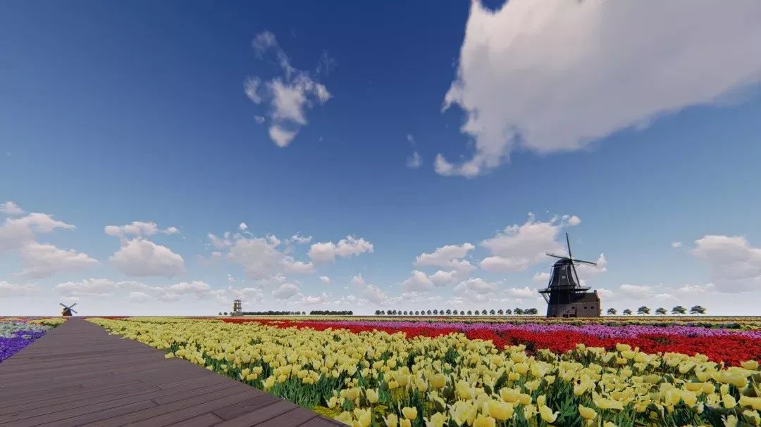 投资2千万新湾街道网红花海来了还有鲜花产业链