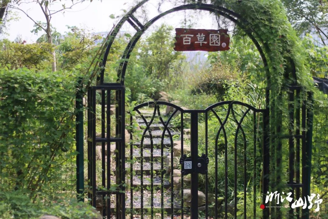 山野昆虫营丨小小法布尔在秋日的林间见微知著