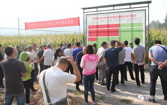 昔阳灾年选种经验,来看昔阳凤居村举行的2019年度农作物新品种 展示
