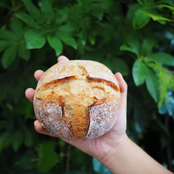 厦门网红店的惊人内幕,竟然和你的中秋节有关!现在看还不晚…_摊位