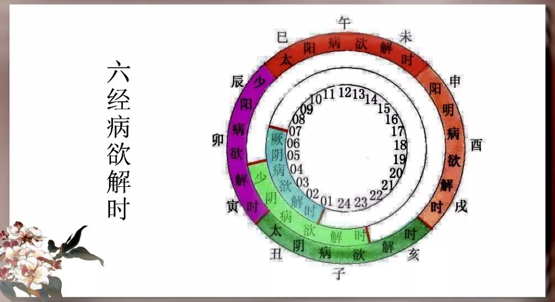 活动纪实悦读伤寒论太阳病证治